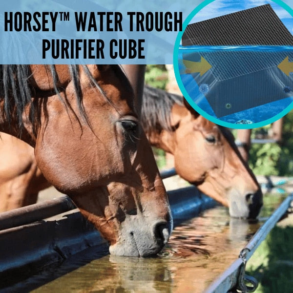 Water Trough Purifier Cube